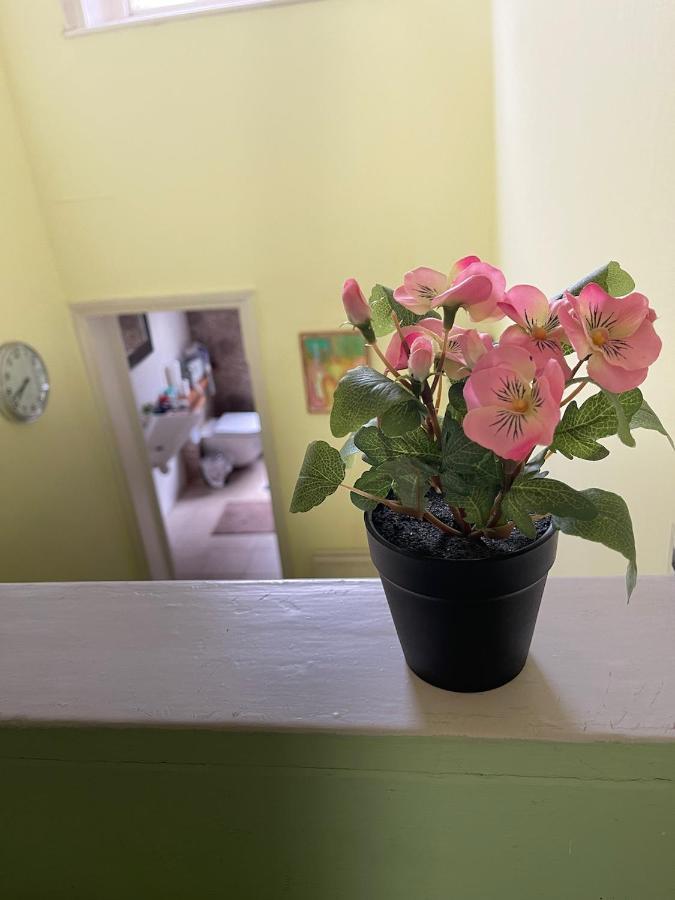 Appartamento Kensington Flat With Roof Terrace And Sunshine Londra Esterno foto